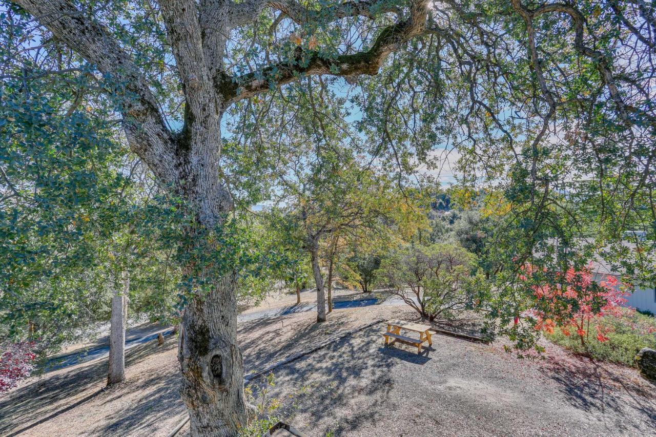 Cozy Studio With Well-Being Retreat Near Yosemite! Ahwahnee Exteriér fotografie