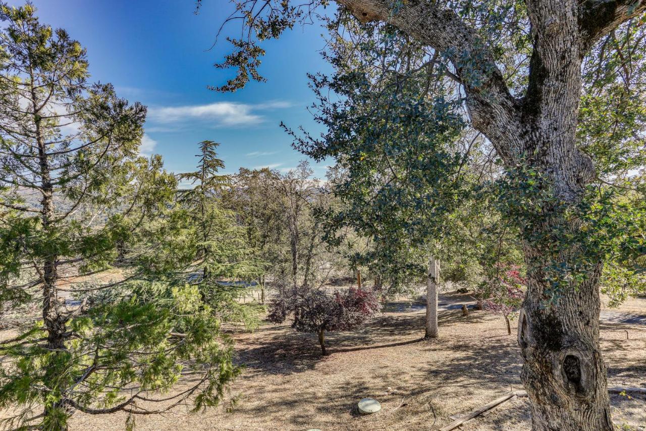 Cozy Studio With Well-Being Retreat Near Yosemite! Ahwahnee Exteriér fotografie
